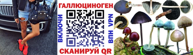 Галлюциногенные грибы MAGIC MUSHROOMS  мориарти Telegram  Данилов 