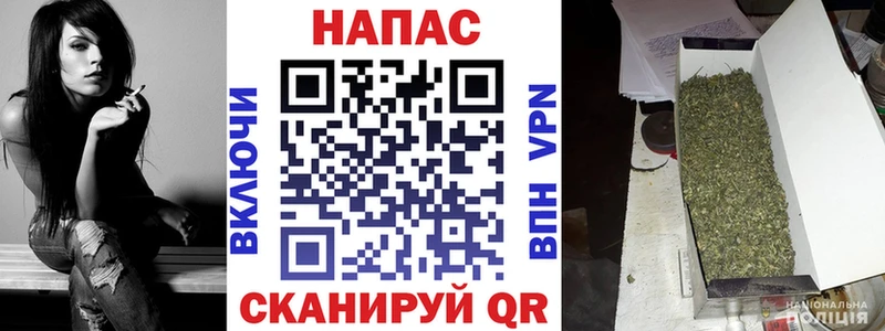 kraken зеркало  Данилов  Бошки марихуана планчик 